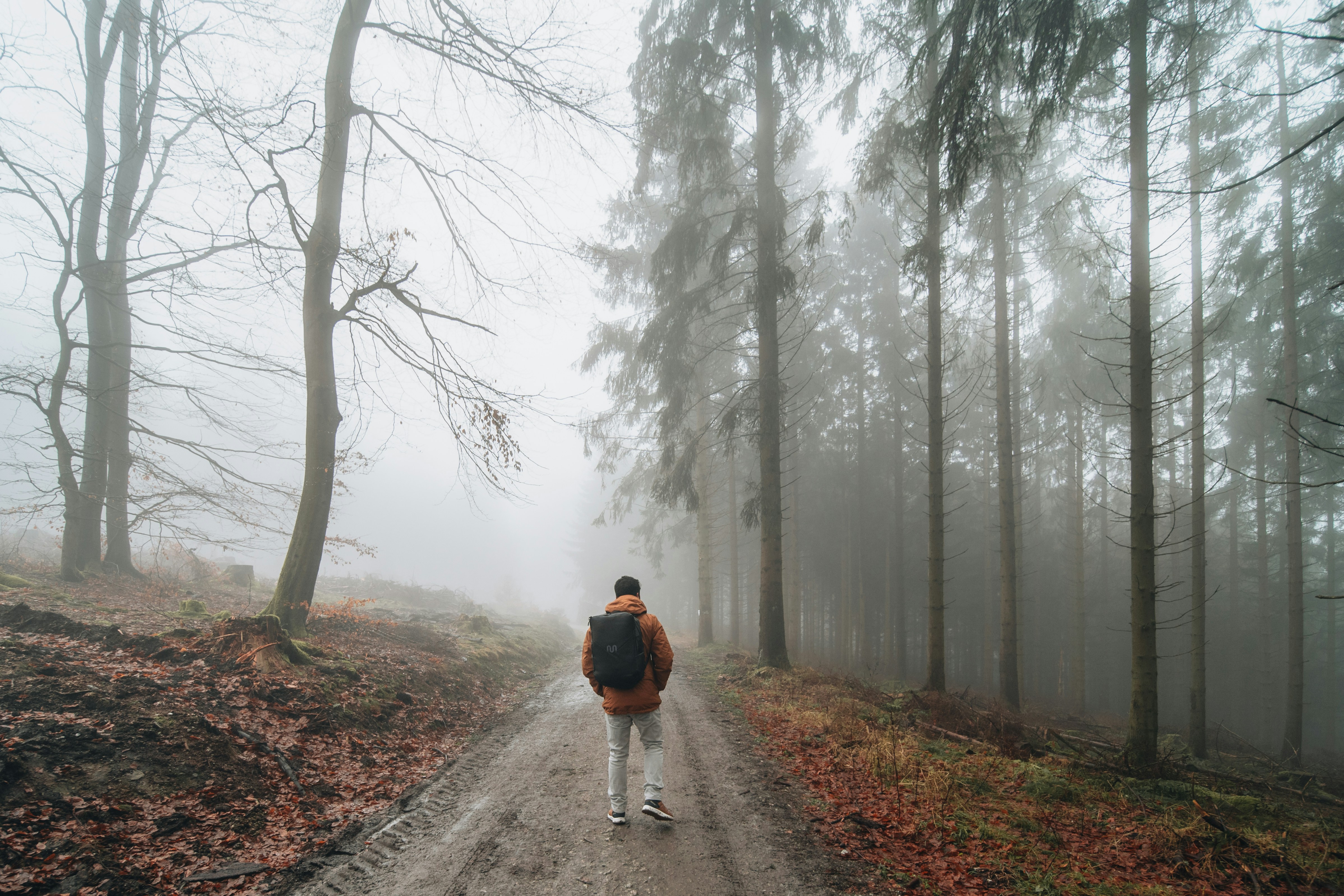 Small Steps, Big Change: The Power of Daily Showing Up